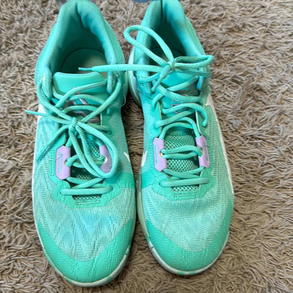 Nike men’s basketball shoes. Never worn outside, great condition